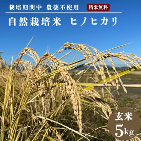 【ふるさと納税】自然栽培米 ヒノヒカリ 玄米 5kg　京都府・亀岡産 令和5年産 栽培期間中農薬不使用 亀岡オーガニックアクションがお届け※離島への配送不可☆月間MVPふるさと納税賞 第1号（2020年10月）