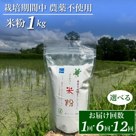 【ふるさと納税】【1回・6回・12回定期便】京都府・亀岡産 栽培期間中農薬不使用 亀岡学校給食プロジェクト 自然栽培米の米粉 1kg ※離島への発送不可 8000円