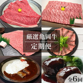 【ふるさと納税】【全6回定期便】亀岡牛 定期便 亀岡牛専門店が厳選 お楽しみ 食べ比べ セット ≪冷凍 焼肉 すき焼き サーロイン ステーキ ローストビーフ 赤身 もも 肉 牛肉 国産牛 黒毛和牛 肉定期便 京都 丹波 BBQ 人気 おすすめ≫ ※離島への配送不可