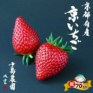 �y�ӂ邳�Ɣ[�Łz�y70th�L�O�z�N�����ӁI���V�[�Y���\���t ���� �������� ���n ���̂� 1���E2�� ��450g ��900g �����_�� �g�ق��� ����C�x���[ �X�^�[�i�C�g���猵�I���Ă��͂�����Ԍ��� �