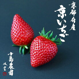 【ふるさと納税】来シーズン予約受付 高級 京いちご 完熟 朝採れ 選べる 約250g×2パック 4パック 8パック 12パック 小島農園 紅ほっぺ おいCベリー スターナイトから厳選 500g 1kg 2kg 3kg≪訳あり イチゴ ≫※離島への配送不可 ※2026年1月中旬～5月下旬頃に順次発送予定