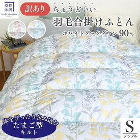 【ふるさと納税】訳あり 羽毛布団 合い掛け シングル ホワイトダックダウン90％ ちょうどいい厚さ 軽量 0.8kg DP360 日本製 京都亀岡産 掛け布団 掛布団 合掛け 羽毛ふとん｜京都金桝 たまごふとん
