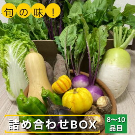 【ふるさと納税】旬の味！お野菜 詰め合わせ BOX 8～10品目（栽培期間中 農薬・化学肥料不使用）【めぐる農園】京都 亀岡 京野菜 農家より直送