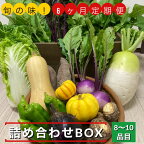 【ふるさと納税】【6回定期便】旬の味！お野菜 詰め合わせBOX 8～10品目×6回（栽培期間中 農薬・化学肥料不使用）【めぐる農園】京都 亀岡 京野菜 農家より直送