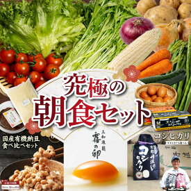 【ふるさと納税】野菜 米 定期便 旬野菜 コシヒカリ 2kg など お楽しみ 詰め合わせセット 1回 6回(2ヵ月に1回) 京都丹波 ・ 亀岡産 みなと屋 産地直送 6ヶ月 隔月6回 定番 和食 朝食 ふるさと納税米 卵 (6個+4個割れ保障) 納豆 野菜 セット 定期便 京野菜 自家農園 亀岡市