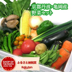 【ふるさと納税】ファーマーズマーケットたわわ朝霧　京都丹波・亀岡産野菜セット ≪春 夏 秋 冬 味覚 旬 限定 詰め合わせ 楽天限定≫※お選びいただいた月に発送いたします☆亀岡市 楽天ショップ・オブ・ザ・マンス2020年10月ふるさと納税賞受賞！