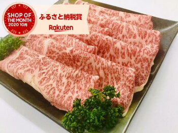 記事ID33164のサムネイル画像