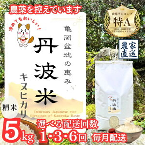 yӂ邳Ɣ[Łz_Iׂz񐔁^yߘa7NYzV sOgY LkqJ 5kg 1 3 6 T~ňb _TĂ܂ ĂĂ͂ ƍ͔| Y_    