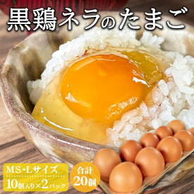 【ふるさと納税】たかはし農園の放し飼い 黒鶏 ネラのたまご 10個×2 計20個 《京都 丹波産 放し飼い 希少 自然卵 平飼い 卵 有精卵 贈り物 ギフト 産地直送 健康食品 贈答 朝食 料理 冷蔵》