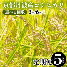 【ふるさと納税】【令和7年産 新米】米 定期便 5kg 3回/6回 京都丹波産 コシヒカリ JA京都たわわ朝霧 産地直送≪期間限定 発送時期が選べる 3ヶ月 6ヶ月 京都丹波米 白米 精米 農協 送料無料 簡易包装 人気 国産 こしひかり ふるさと納税 米 定期便≫
