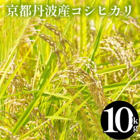 【ふるさと納税】【12月末まで】令和7年産 米 京都丹波産コシヒカリ 10kg(5kg×2袋) 選べる回数 1回 3回 6回 定期便 発送時期が選べる＜JA京都たわわ朝霧＞≪農協 白米 精米 産地直送 送料無料 簡易包装 生活応援 人気 国産 こしひかり 3ヶ月 6ヶ月≫