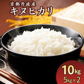 【ふるさと納税】令和7年産 米 定期便 京都丹波産キヌヒカリ 10kg(5kg×2袋) 発送時期が選べる＜JA京都たわわ朝霧＞≪農協 白米 精米 産地直送 送料無料 簡易包装 生活応援 人気 国産 きぬひかり≫