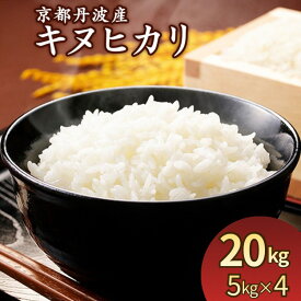 【ふるさと納税】令和7年産 米 京都丹波産キヌヒカリ 20kg (5kg×4袋)＜JA京都たわわ朝霧＞≪農協 白米 精米 産地直送 送料無料 簡易包装 生活応援 人気 国産 きぬひかり≫