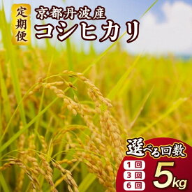 【ふるさと納税】【期間限定 生活応援】米 定期便 5kg コシヒカリ 1回 3回 6回 定期便 京都丹波産 JA京都たわわ朝霧 産地直送 令和7年産 ふるさと納税 米 定期便 京都丹波米 白米 精米 農協 送料無料 簡易包装 人気 お米 こしひかり 米 5キロ 6ヵ月 【3/31迄 寄附額改定】