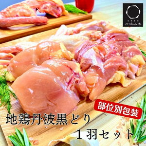 yӂ邳Ɣ[Łz󂠂 Jn n{ Ogǂ1H܂邲ƃZbgsTOgR{ً}x ʕԗi { 1H Ƃ  l s  ނ  