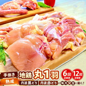 【ふるさと納税】訳あり 鶏肉 定期便 6回 12回 高評価★4.9以上 不揃い 地鶏 1羽分 詰め合わせ 丹波黒どり・丹波赤どり 毎月交互にお届け＜京都亀岡丹波山本＞モモ ムネ ササミ 手羽先 手羽元 肝 砂肝 鶏ガラ 希少部位 緊急支援 生活応援 鶏肉 小分け 鳥 京都府 亀岡市
