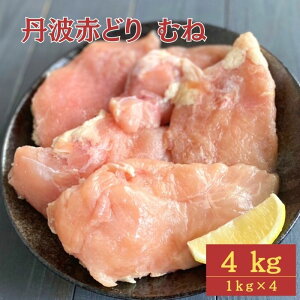 yӂ邳Ɣ[Łz ys70NLOzyIׂ锭z󂠂 Og Ԃǂ ނ˓ 4kg(1kg×4pbN)sTOgR{Ɩp { Ⓚ l s ނ 
