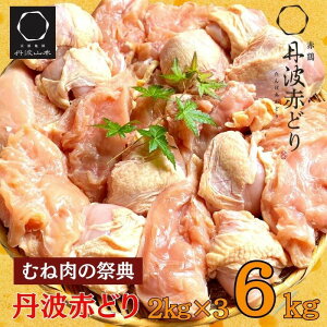 yӂ邳Ɣ[Łz_Ԍʊ񕍊z^yIׂ锭zOgԂǂ ނ˓ 2kg×3 6kg sTOgR{{ { l l Ɩp 󂠂 s ނ 