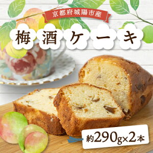 【ふるさと納税】梅酒ケーキ城州白 2本【配送不可地域:離島】【1419909】