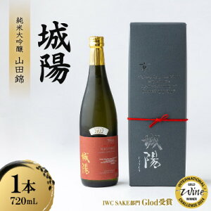 【ふるさと納税】日本酒「城陽」純米大吟醸 山田錦 720ml【1456149】
