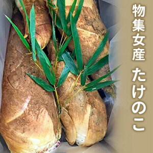 �y�ӂ邳�Ɣ[�Łz�����̂� ���s�����s���W���Y ��� �R�� �^�P�m�R � �|�̎q ���s�{�����s �@���͂��F2026�N3��25���`2025�N4��25��