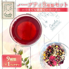 【ふるさと納税】ハーブティー 9種類 1パックずつ 心まで癒やされたい方に おすすめ オリジナル ブレンド ハーブ 美容 美肌 リラックス ストレス解消 健康 癒やし デトックス 茶葉 茶 お茶 家族 友達 京都 向日市 ハーブティカフェ心葉