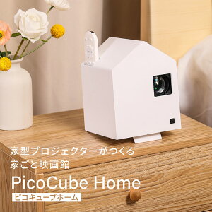 yӂ邳Ɣ[Łzz[ vWFN^[ PicoCube Home fgp02wh [ sRL[u R[ HDMIڑ Q[@ Switch Fire Stick DVDvC[ Ag ~[O@\ 掿 tH[JX[h s