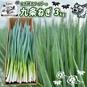 yӂ邳Ɣ[Łz y˂Ă^CK[̋˂z 3kg s2025N11`12t ˂ lM K ˂ lM K   _ƒ VN Â Â lC  ӂ邳Ɣ[ 