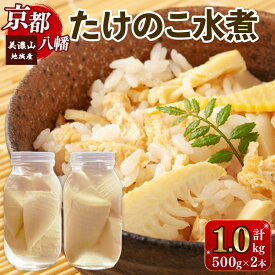【ふるさと納税】 たけのこ水煮 約1kg (約500g × 2本) 瓶詰め 1kg 下処理済み 乱切 常温 国産 筍 たけのこ タケノコ 竹の子 たけのこごはん たけのこご飯 野菜 料理 簡単 簡単調理 人気 おすすめ 京都 八幡 美濃山 八幡市 旬採庵