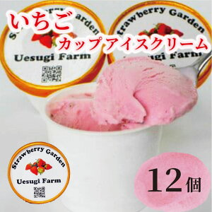 �y�ӂ邳�Ɣ[�Łz �y�I�ׂ���z�������_�Ƃ̂Ђ���A�C�X �J�b�v�A�C�X 6�J�b�v 12�J�b�v ������ � �C�`�S �������A�C�X�N���[�� �A�C�X �A�C�X�N���[�� �J�b�v�A�C�X �₽�� �Ђ���