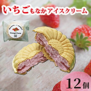 �y�ӂ邳�Ɣ[�Łz �y�I�ׂ���z�������_�Ƃ̂Ђ���A�C�X �Œ��A�C�X 6�� 12�� ������ � �C�`�S �������A�C�X�N���[�� �A�C�X �A�C�X�N���[�� �Œ��A�C�X �Œ� ���Ȃ� ���i�J �₽�� ��