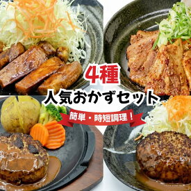 【ふるさと納税】 おかず 4種 詰合せセット（ ハンバーグ ロース とんてき 豚バラ肉 ） 冷凍 特製 甘辛たれ 自家製 冷凍食品 おかず 簡単 時短 湯煎 手作り 肉料理 定食メニュー 京都 八幡 松井山手 ずんべら屋