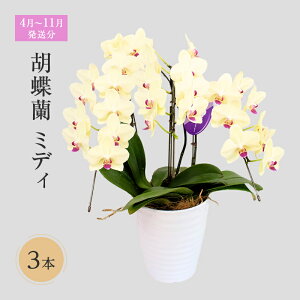 yӂ邳Ɣ[Łzy4`11zӒ~fB@3{  @͂F41`1130