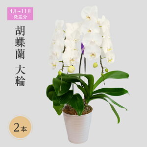 yӂ邳Ɣ[Łzy4`11zӒց@2{  @͂F41`1130