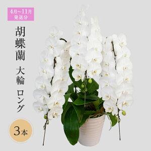 yӂ邳Ɣ[Łzy4`11zӒց@O@3{  @͂F41`1130