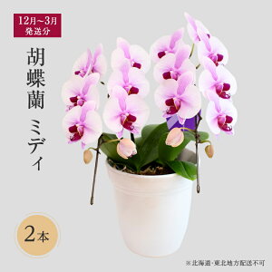 yӂ邳Ɣ[Łzy12`3zӒ~fB@2{ ykCEknzsz  v[g @͂F121`331