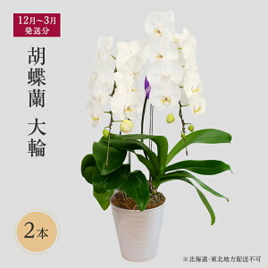 yӂ邳Ɣ[Łzy12`3zӒց@2{ ykCEknzsz v[g @͂F121`331
