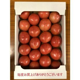 【ふるさと納税】とまと　【野菜・トマト】　お届け：2023年11月中旬～2024年7月上旬