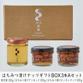 【ふるさと納税】はちみつ漬けナッツギフトBOX3本Aセット 蜂蜜 お菓子 詰合せ