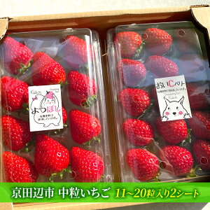 �y�ӂ邳�Ɣ[�Łz�y��s�\��@�������z���������� �ʕ� �t���[�c �f�U�[�g ����� �{�̉ʕ� �{�̃t���[�c �X�g���x���[ ���Y ���{�Y �@���͂��F2026�N2��15���`2026�N4��15���܂�