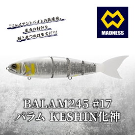 【ふるさと納税】BALAM245 #17 バラム KESHIN化神〈マドネス、ビックベイト、スイムベイト、ジャイアントベイト、釣り、バス釣り、ルアー、釣り具、スポーツ〉 雑貨 日用品