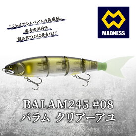 【ふるさと納税】BALAM245 #08 バラム クリアーアユ〈マドネス、ビックベイト、スイムベイト、ジャイアントベイト、釣り、バス釣り、ルアー、釣り具、スポーツ〉 雑貨 日用品