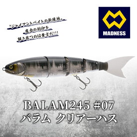 【ふるさと納税】BALAM245 #07 バラム クリアーハス〈マドネス、ビックベイト、スイムベイト、ジャイアントベイト、釣り、バス釣り、ルアー、釣り具、スポーツ〉 雑貨 日用品