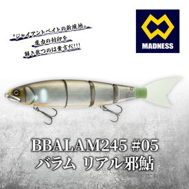 【ふるさと納税】BALAM245 #05 バラム リアル邪鮎〈マドネス、ビックベイト、スイムベイト、ジャイアントベイト、釣り、バス釣り、ルアー、釣り具、スポーツ〉 雑貨 日用品