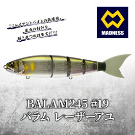 【ふるさと納税】BALAM245 #19 バラム レーザーアユ〈マドネス、ビックベイト、スイムベイト、ジャイアントベイト、釣り、バス釣り、ルアー、釣り具、スポーツ〉 雑貨 日用品