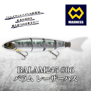 yӂ邳Ɣ[ŁzBALAM245 #06 o [U[nXq}hlXArbNxCgAXCxCgAWCAgxCgAނAoXނAA[AނAX|[cr G pi