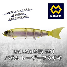 【ふるさと納税】BALAM245 #20 バラム レーザーワカサギ〈マドネス、ビックベイト、スイムベイト、ジャイアントベイト、釣り、バス釣り、ルアー、釣り具、スポーツ〉 雑貨 日用品