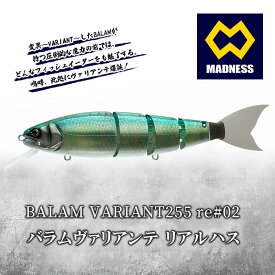 【ふるさと納税】BALAM VARIANT255 re#02 バラムヴァリアンテ リアルハス〈マドネス、ビックベイト、スイムベイト、ジャイアントベイト、釣り、バス釣り、ルアー、釣り具、スポーツ〉