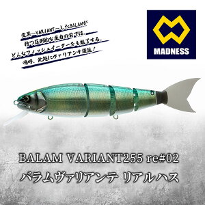 yӂ邳Ɣ[ŁzBALAM VARIANT255 re#02 o@Ae AnXq}hlXArbNxCgAXCxCgAWCAgxCgAނAoXނAA[AނAX|[cr