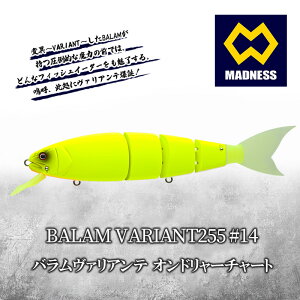 yӂ邳Ɣ[ŁzBALAM VARIANT255 #14 o@Ae Ih[`[gq}hlXArbNxCgAXCxCgAWCAgxCgAނAoXނAA[AނAX|[cr